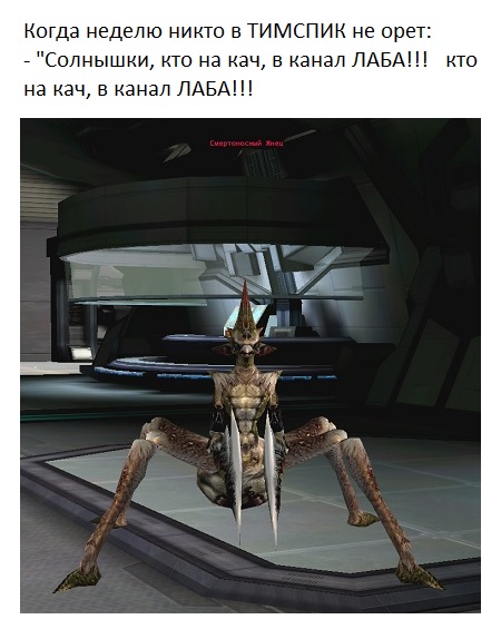 Безымянный.jpg