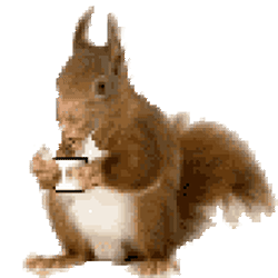 белка.gif