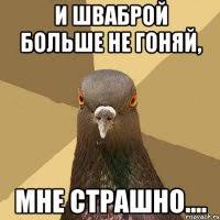 голуйбей.jpg
