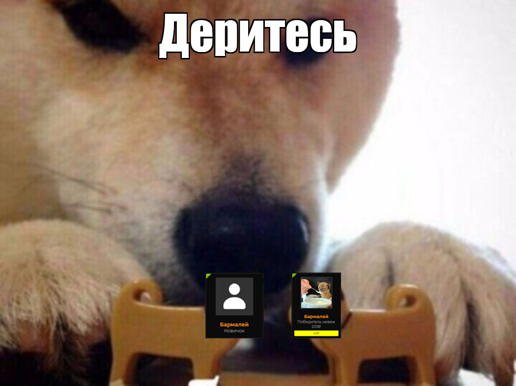 14659e1aaced45c8e371f61cf9716e84.jpg
