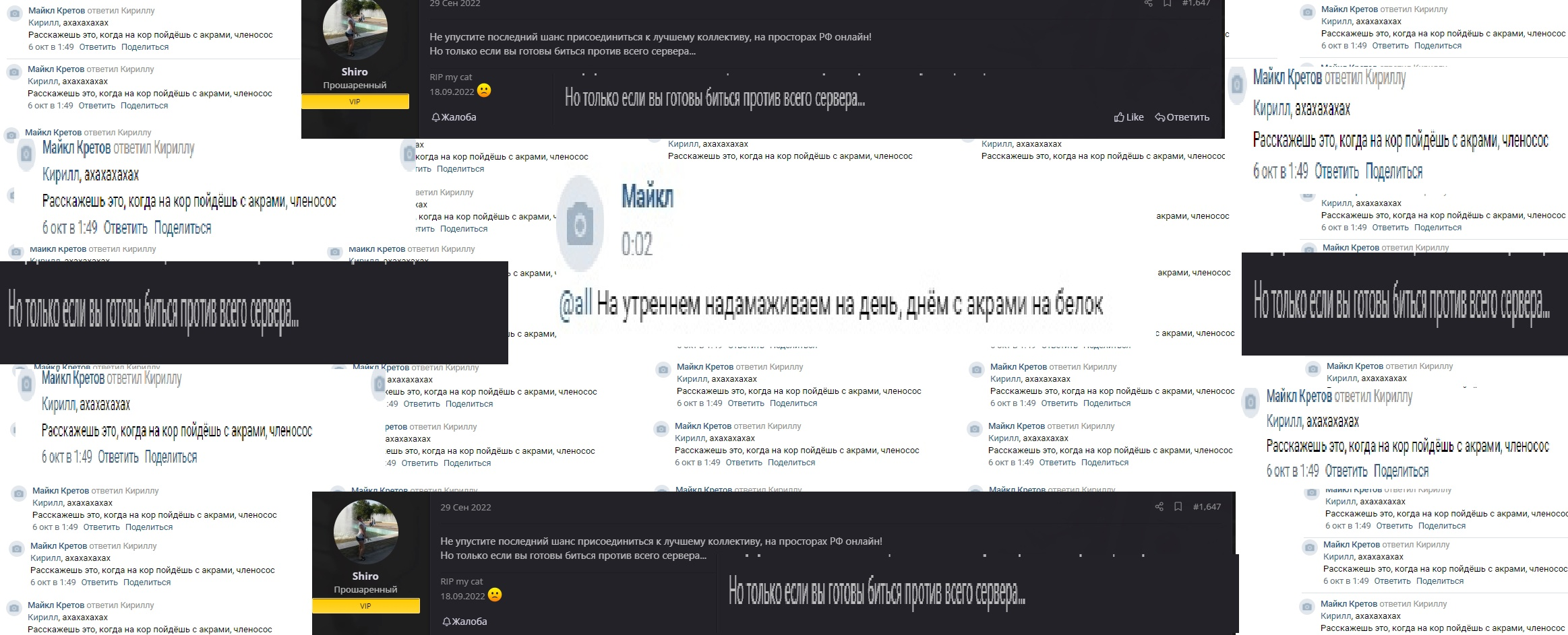 1665267385531.png
