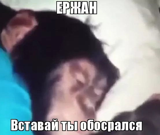 1665775389586.png