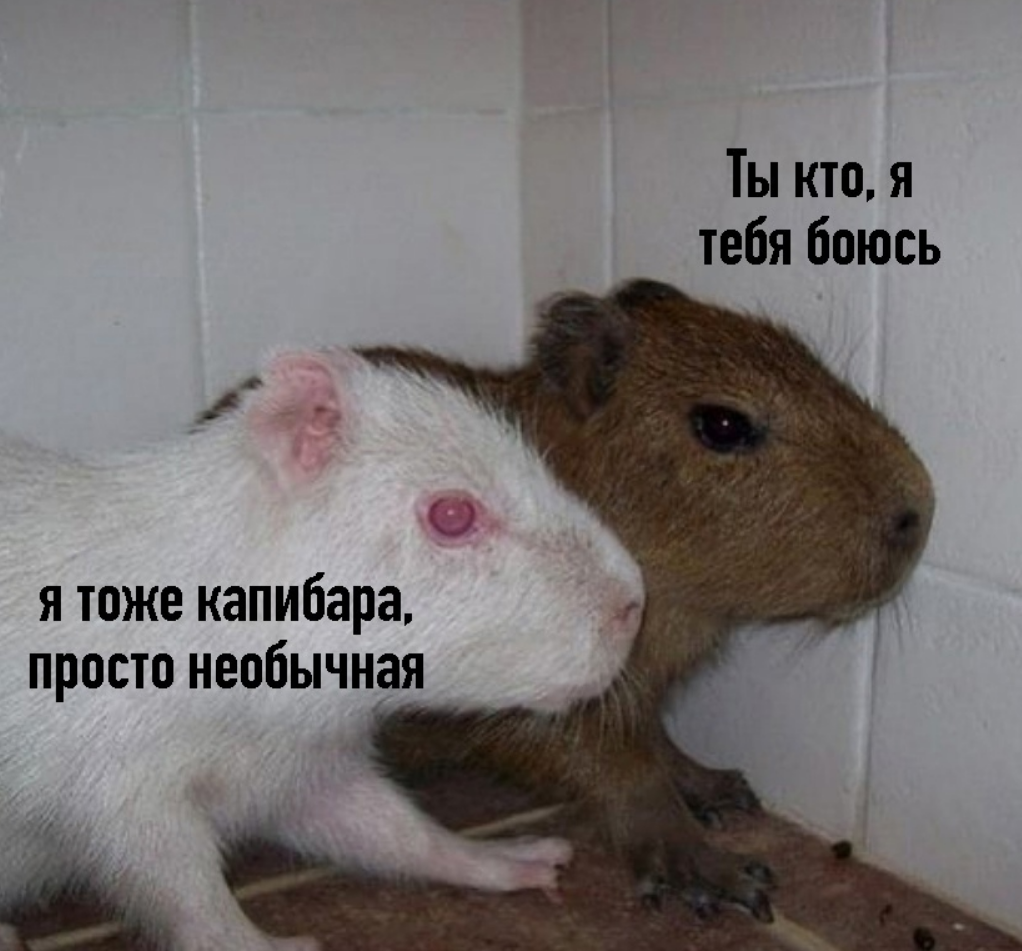 1694003013901.png