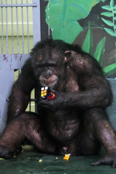 3_400x600.jpg
