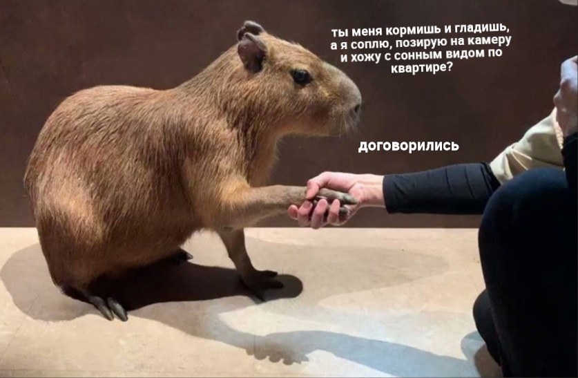 5HJOTicqKno.jpg
