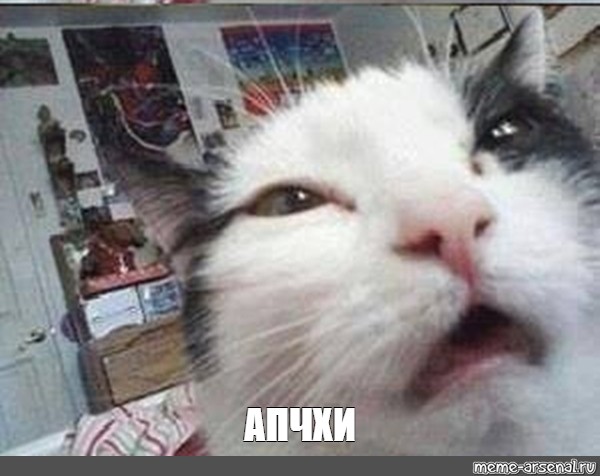 6fdeb9fe08de0c92a8ed53287496d392.jpg