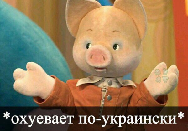 bze0X9rrXf4.jpg