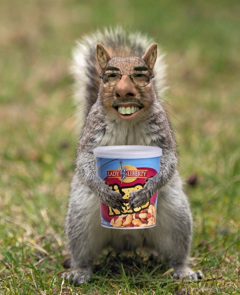 Henry-Waxman-Squirrel.jpg