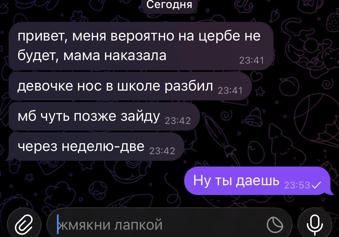 IMG_3323.jpeg