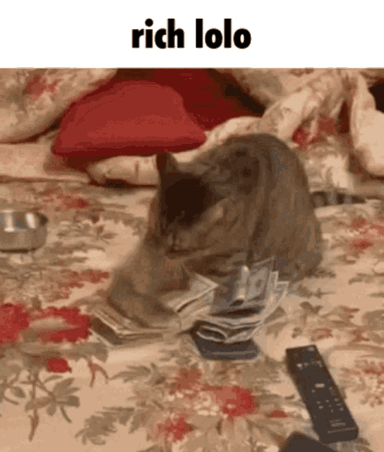 lolo-rich.gif