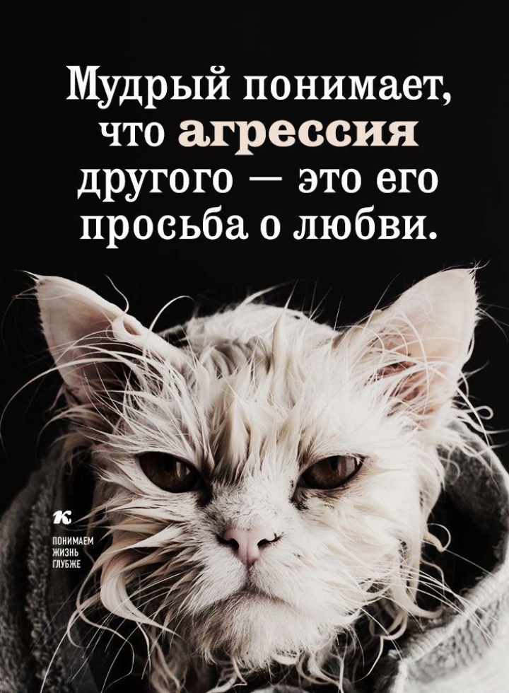 mudrie_misly_368.jpg