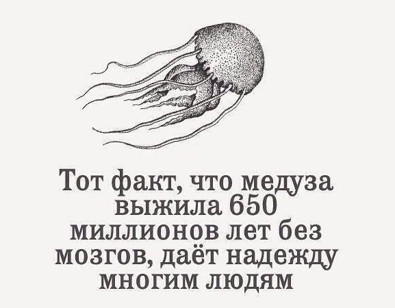 Tnyu_Bm4SUY.jpg