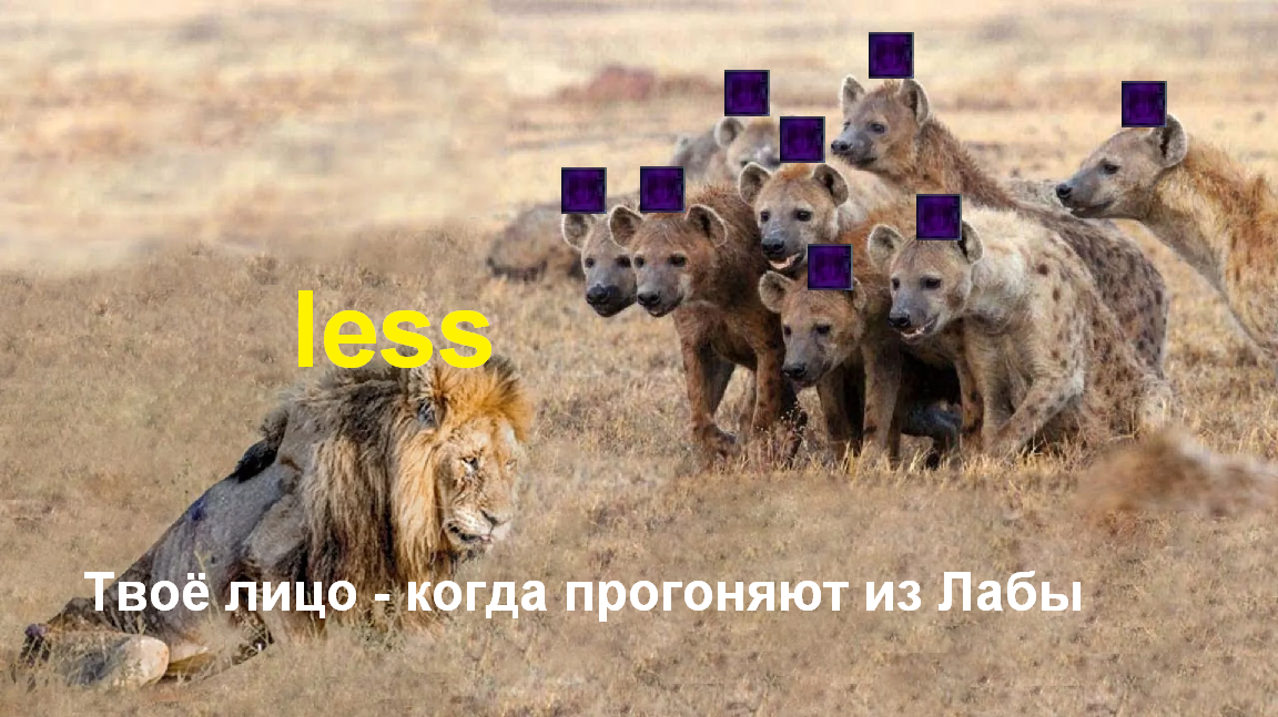 upload_2020-10-30_16-5-14.png