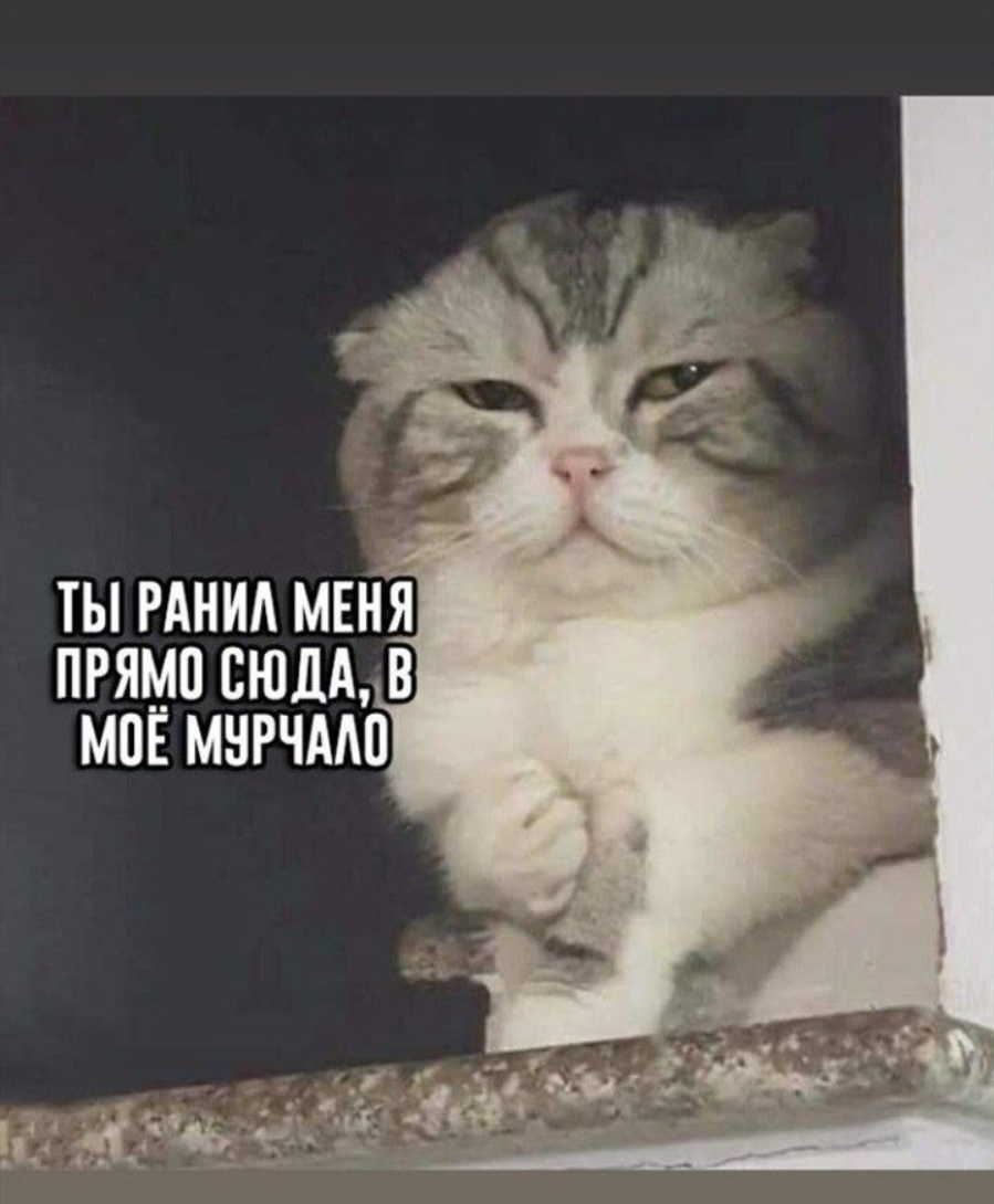 upload_2020-8-10_14-40-18.png