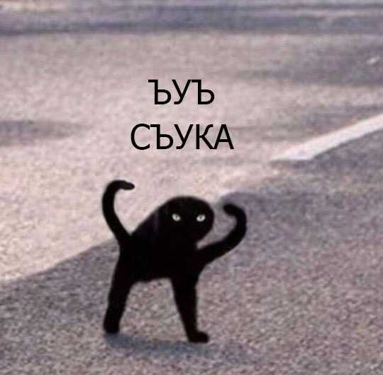 UvOASnjp-c4.jpg