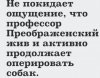 E48D233B-3768-436B-AC09-9C67710F7FB2.jpeg