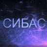Сибас