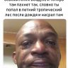 МОКРЫЙ