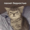 Монгол