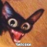 Woyer
