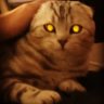 Morgenstern